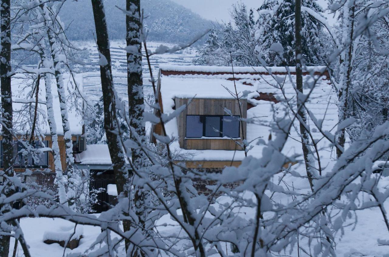 Le Grand Petit Prince - Domaine De Charme - Jacuzzis Privatifs غيبووييه المظهر الخارجي الصورة